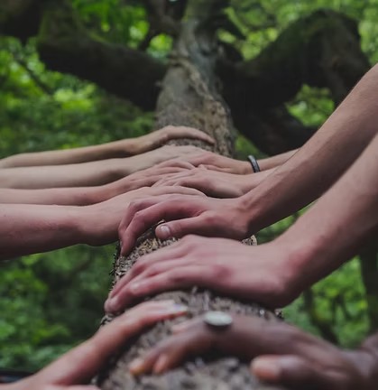 Hands together around a small tree